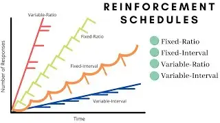 Schedules of Reinforcement in ABA (Part 1) | Fixed Ratio & Variable Ratio