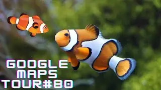 Google Maps Tour#80 (Nemo's Father Fish) |Weird Things|