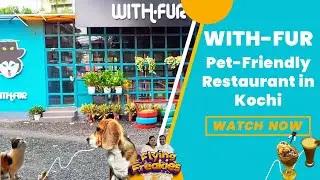 With-Fur: Pet-Friendly Restaurant in Kochi | Handmade Burgers & Shakes #petcafe