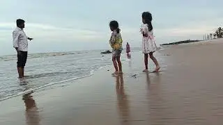 Odalarevu beech 