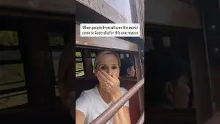 The Kuranda Scenic Railway in Cairns, Australia is a must do when visiting Far North Queensland!