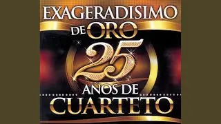 Para Vigo Me Voy / Baterista Del Alma / Tu Fuiste Mi Historia De Amor / Sera Oro Mañana /...