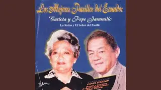 Te Vi Llorar