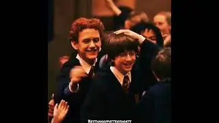 harry potter x Percy Weasley