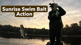 Bass Fishing 202-Lesson 83: Sunrise Swim Bait Action