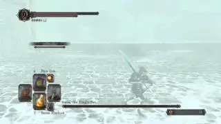 DARK SOULS 2 fighting invisible tiger!