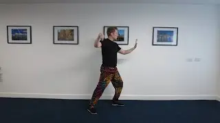 Tai Chi for Beginners | Second Single Whip | Silent Front & Rear View Follow Along | #taichi24form