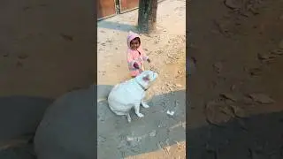 Being compassionate #kids #dog #ruby #compassion #doglife #friends