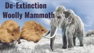 【Science News】Jurassic Park, But Fluffier: Scientists Create a 'Woolly Mouse' with Mammoth DNA