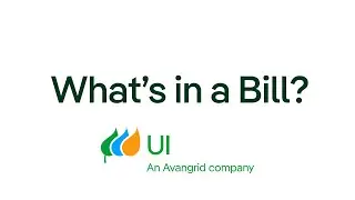 Electric Bill Explained: What You're Really Paying For | Avangrid