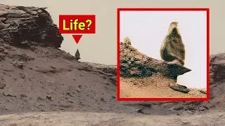 Марсоход NASA отправил удивительно странное видео на 360&deg; с пиками Мюррей на Марсе &mdash; Curiosity Life