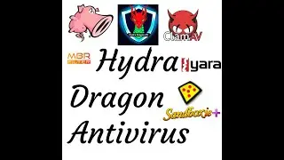 Suspicious reddit file analyzed in dynamic and static analysis