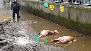 Las Autoridades Decidieron Drenar Este R&iacute;o, Pero no Esperaban Encontrar Esto en el Fondo