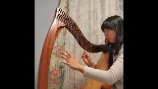 하프 | Clare Island Boat Song (jig)