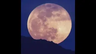Pink Supermoon lights up the sky