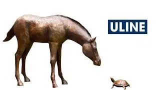 Uline Horse and Turtle