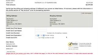 US Auction Brokers Payment Tutorial