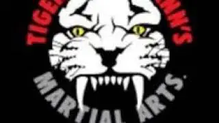 Tiger Schulmann's Smithtown Podcast Episode 1 - The 90 Day Challenge