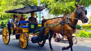 NAIK KUDA ~ KUDA DELMAN ~ NAIK DELMAN ISTIMEWA ~ LAGU TOPI SAYA BUNDAR ~ HORSE FINGER FAMILY SONG