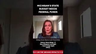 Senate Majority Leader Winnie Brinks details Michigan&rsquo;s dependence on federal funds