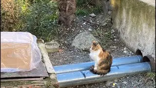 Обсуждаем последние сплетни 🍃