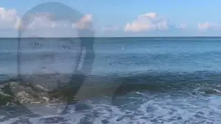 МУЗЫКА. 