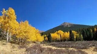 Sentinel Point 12,513 ft, Pike National Forest, Divide, Colorado Fall Colors Hike