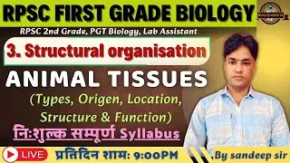 RPSC 1st Grade Biology 2025 | Structural Organization In Animal & Plants | Animal Tissues