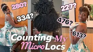 Counting My Micro Locs | How Many Locs Do I Have? | Loc Journey Loc Count 
