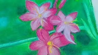 Bunch of pink flowers from Oil pastel #asmr # my passion fine art #like #subscribe 