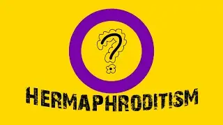 Hermafrodit (iki cinsli) insanlar
