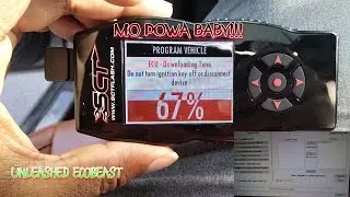 Unleashed Tuned 2019 Ford Fusion Titanium 2.0 fwd ECOBEAST! Is it worth 5xx dollars? Must watch