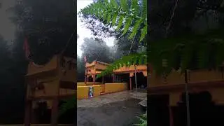 Amboli Nature Status || #amboli #ambolighat #amboliwaterfall #trending #youtubeshorts #instagram