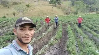 Dia de arrancar batata é limpa + almoço e janta com joicinha🙌🙏