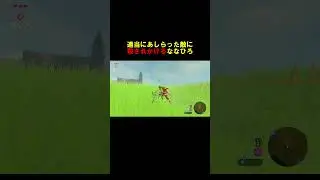 絶対に殺すという意思を感じる　#ななひろ #ゼルダ #ブレワイ #ゼルダの伝説 #リンク #面白 #爆笑#ななひろ #神回