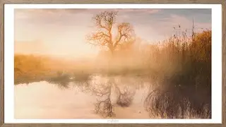 Tree Reflection | South Africa | Real Framed Photo For TV | No AI