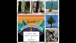 Episode 11 - Redwood National Forest with a Twist