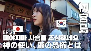 宮島で泣きそうになった韓国人/히로시마여행 미야지마/厳島神社/日本一人旅EP.23