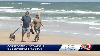 Volusia County to decide whether to keep its dog beach
