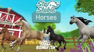 Star Stable Horses Mobile Gameplay Android