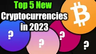 Top 5 New Cryptocurrencies in 2023 DigiToads, Battle Infinity, Balancer, Tamadoge, Lucky Block
