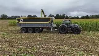Mais H&auml;ckseln 2025 bei Gro&szlig;e Bohne, Krone BIG X 1180, Fendt 930 , Fendt 728 (Video 3 von 3)