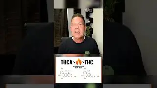 Is THCA REALLY THC? #cannabistalk101