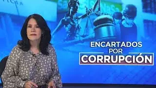 Conocen apelación de los encartados por fraude en Senasa