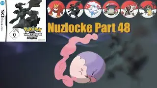 JAGD nach den 7 WEISEN! Pokemon Weiss Nuzlocke Part 48