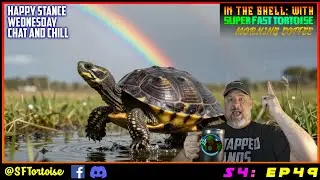 Chat and Chill Wednesday | FUN TIMES | S4 EP49 | Super Fast Tortoise 📱