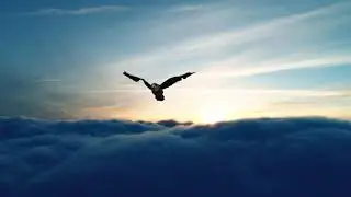 Buoyant - dreaming I can fly - for orchestra - composed by Benjamin Loomes