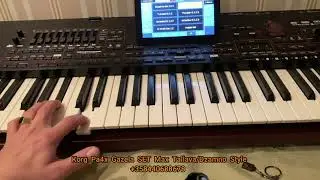 Korg Pa4x Gazela SET 2021 Max Tallava/Dzambo  Style