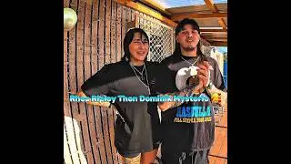 Rhea Ripley Vs Dominik Mysterio Then And Now |Edits |😢 #wwe #viral # shorts #video