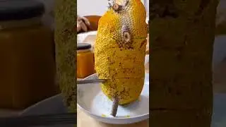 enak banget Madu Asli #madualami #madusarang #sarangmadumurni